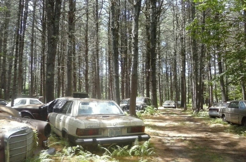 In Lebanon, a forest of cars doth a museum make