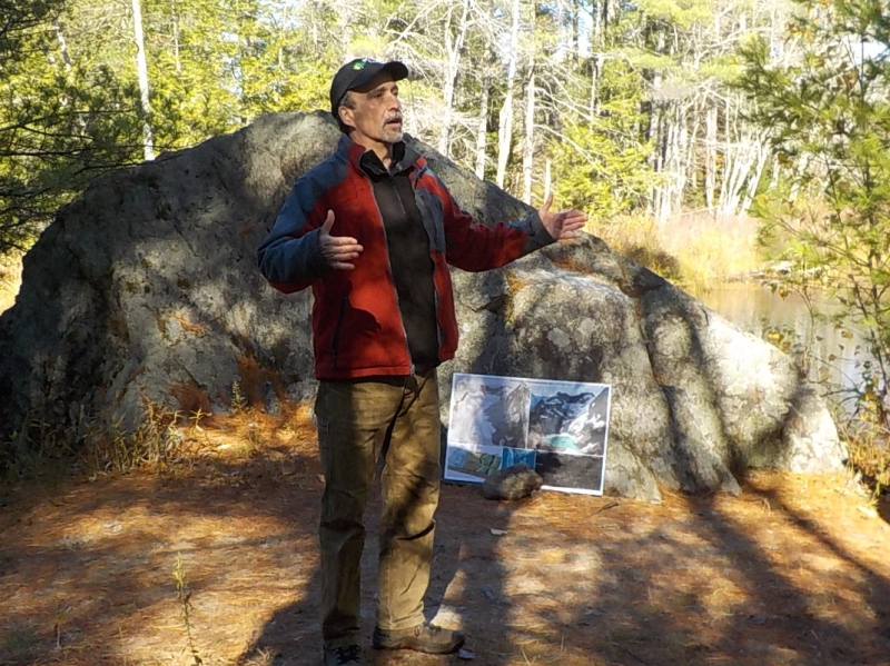 Forest walk reveals where all those big boulders came from  