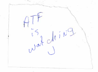 Felon in possession was actively trafficking weapons from gun store