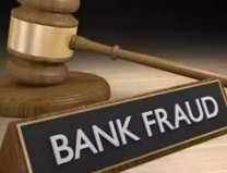 Littleton woman pleads guilty in $46G bank fraud case