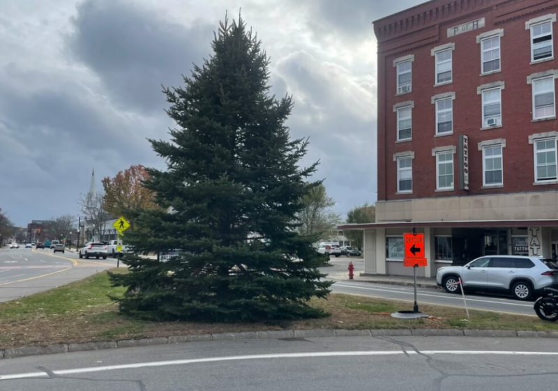 City couple hopes heartfelt gifting of Christmas tree will bring joy and delight to all