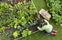 Free gardening workshop set for Tuesday at Frisbie Conference Center