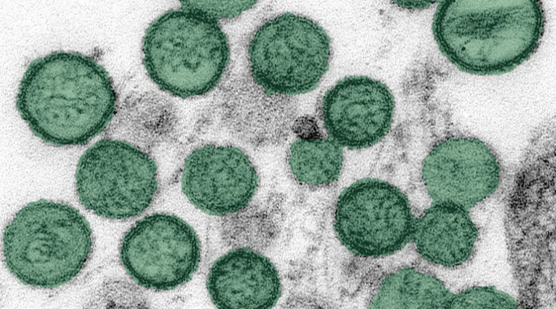 New Hampshire residents who contracted hantavirus not in state at this time