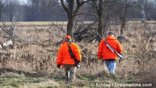 Regular firearms deer hunting season fast approaching