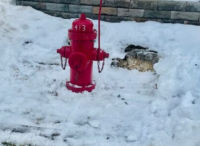 Residents effort to keep hydrants clear doesn't go unnoticed