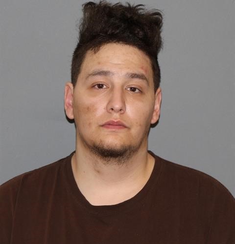 Gonic man gets year in county jail after pleading guilty to slew of felonies