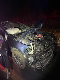 One injured after two cars crash into same moose on Rt. 101