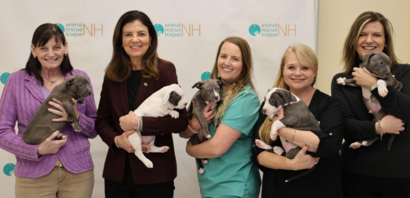 Gov. Ayotte looks to make it easier for pets to find forever homes