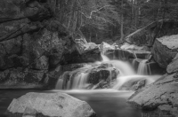 Camera club's 'Black and White' exhibit on display at Franklin Gallery in June 