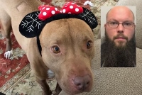 Man accused of starving dog to death turns self in to police