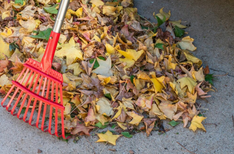 Rochester trash crews will begin yard waste pickups on regular trash days Monday