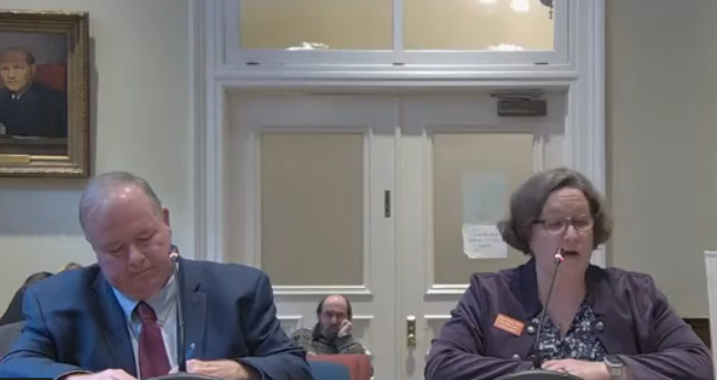 Senate bill aims to give RTK protections to all media, including 'Rochester Voice'